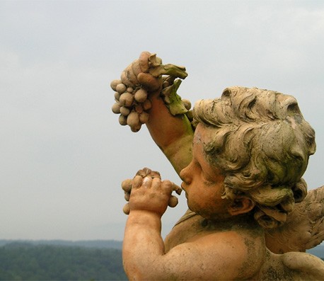 在线短信轰炸机网页版