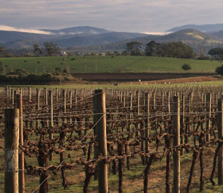 轰炸手机号信息软件免费版